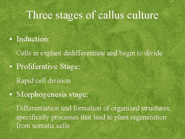 Three stages of callus culture • Induction: Cells in explant dedifferentiate and begin to