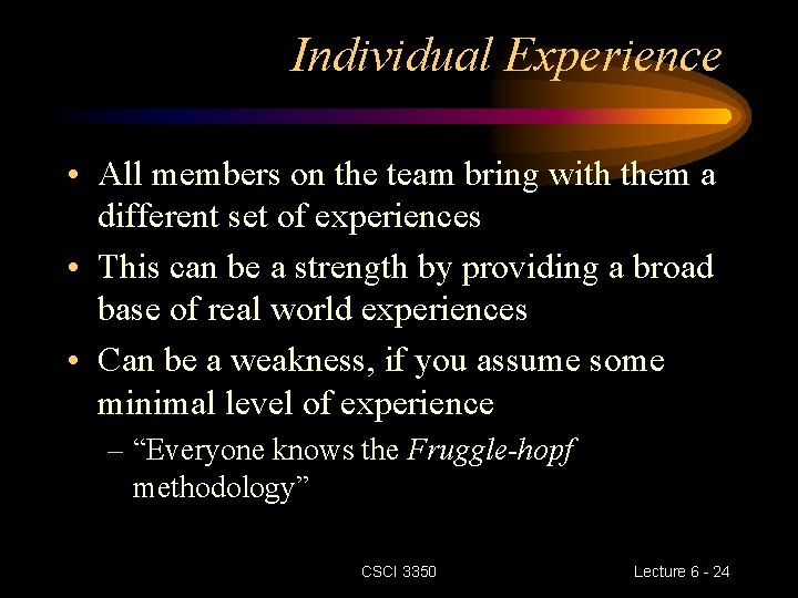 Individual Experience • All members on the team bring with them a different set Individual Experience • All members on the team bring with them a different set