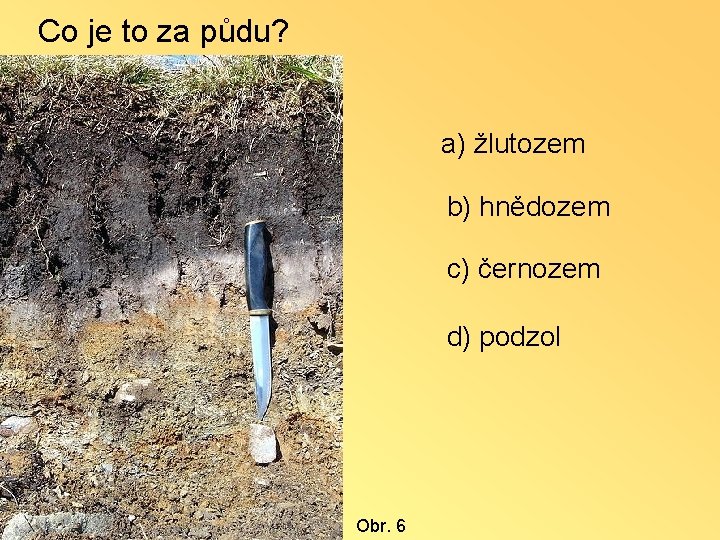 Co je to za půdu? a) žlutozem b) hnědozem c) černozem d) podzol Obr.