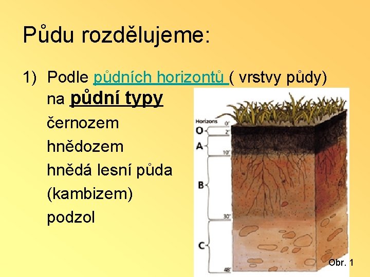 Půdu rozdělujeme: 1) Podle půdních horizontů ( vrstvy půdy) na půdní typy černozem hnědá