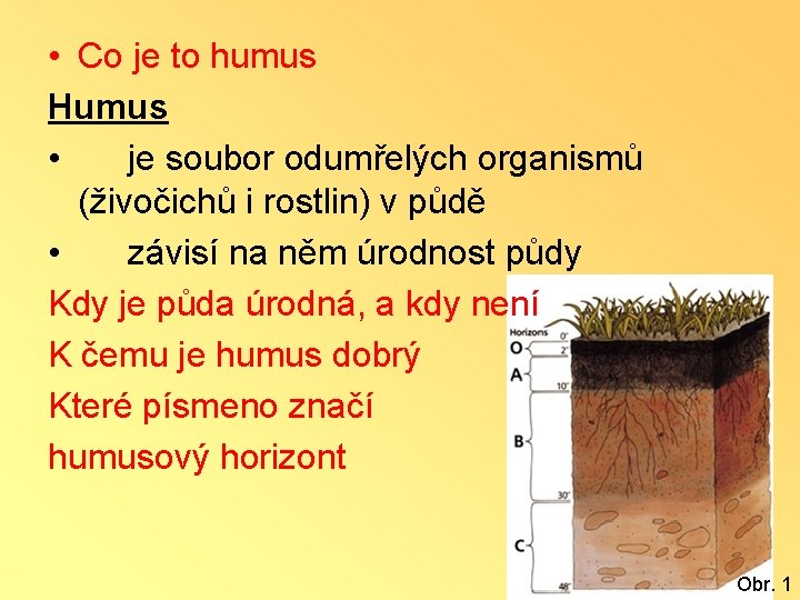  • Co je to humus Humus • je soubor odumřelých organismů (živočichů i