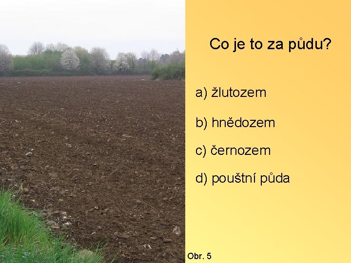 Co je to za půdu? a) žlutozem b) hnědozem c) černozem d) pouštní půda