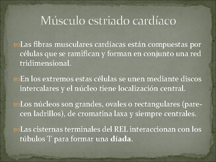 Músculo estriado cardíaco Las fibras musculares cardíacas están compuestas por células que se ramifican