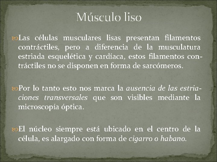 Músculo liso Las células musculares lisas presentan filamentos contráctiles, pero a diferencia de la