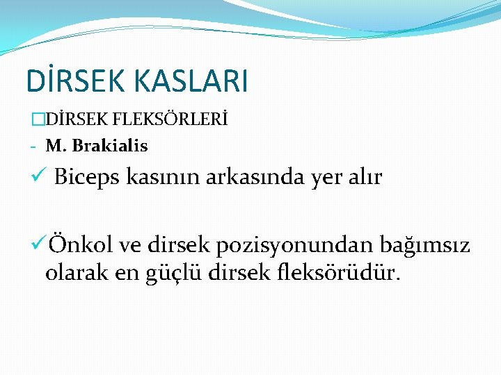 DİRSEK KASLARI �DİRSEK FLEKSÖRLERİ - M. Brakialis ü Biceps kasının arkasında yer alır üÖnkol