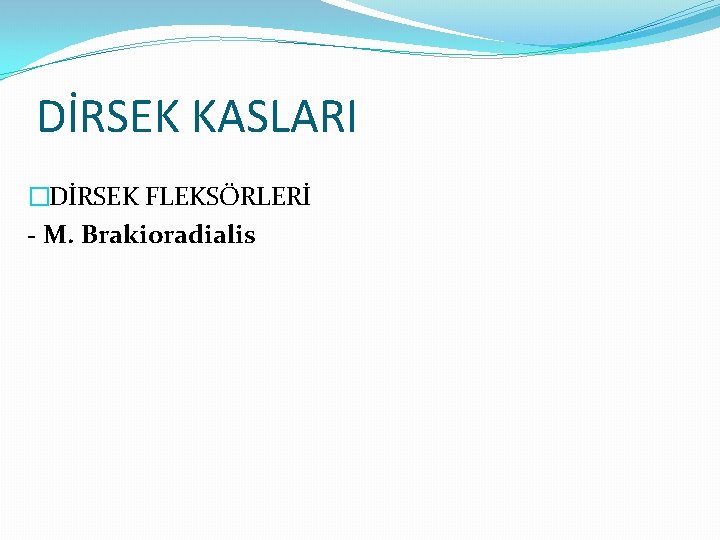 DİRSEK KASLARI �DİRSEK FLEKSÖRLERİ - M. Brakioradialis 