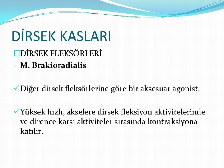 DİRSEK KASLARI �DİRSEK FLEKSÖRLERİ - M. Brakioradialis ü Diğer dirsek fleksörlerine göre bir aksesuar