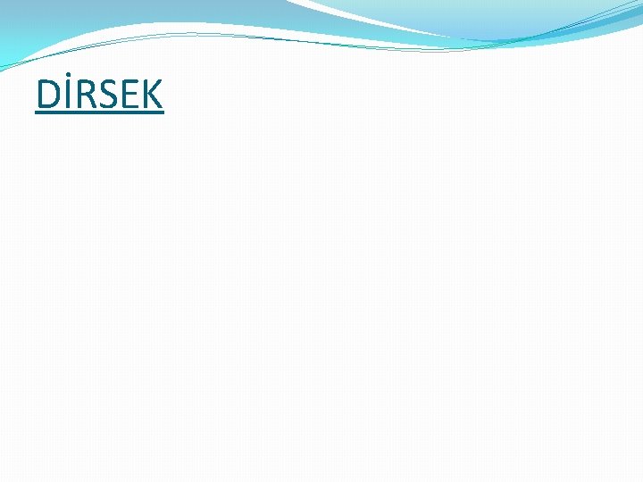 DİRSEK 
