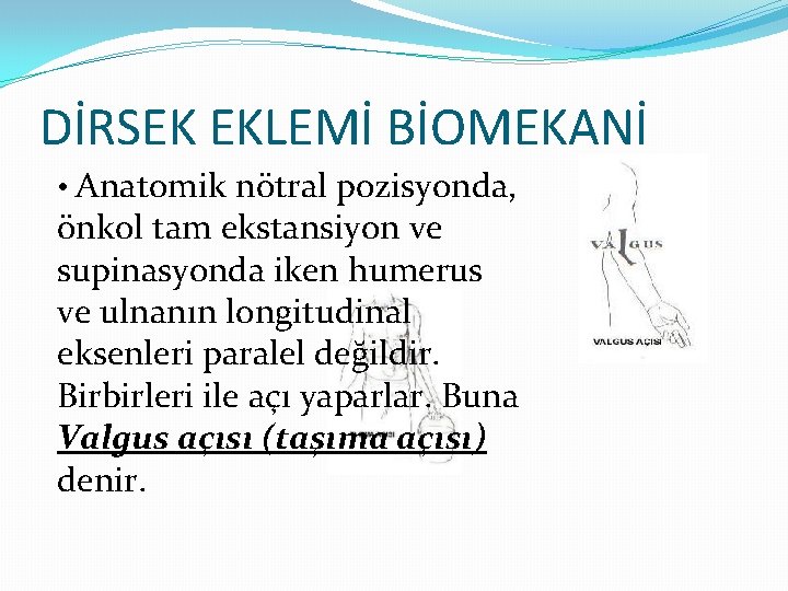 DİRSEK EKLEMİ BİOMEKANİ • Anatomik nötral pozisyonda, önkol tam ekstansiyon ve supinasyonda iken humerus