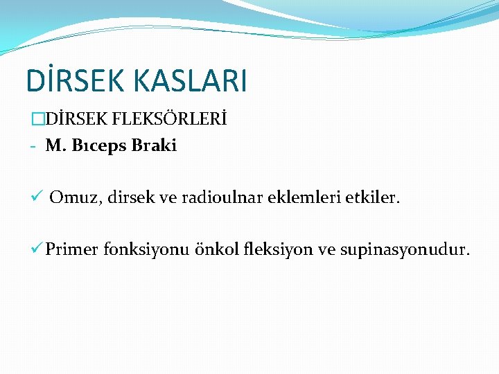 DİRSEK KASLARI �DİRSEK FLEKSÖRLERİ - M. Bıceps Braki ü Omuz, dirsek ve radioulnar eklemleri