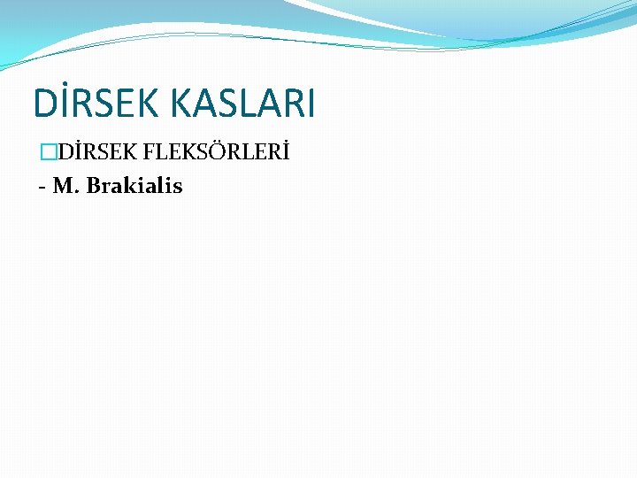 DİRSEK KASLARI �DİRSEK FLEKSÖRLERİ - M. Brakialis 