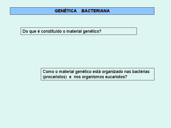 GENÉTICA BACTERIANA Do que é constituído o material genético? Como o material genético está