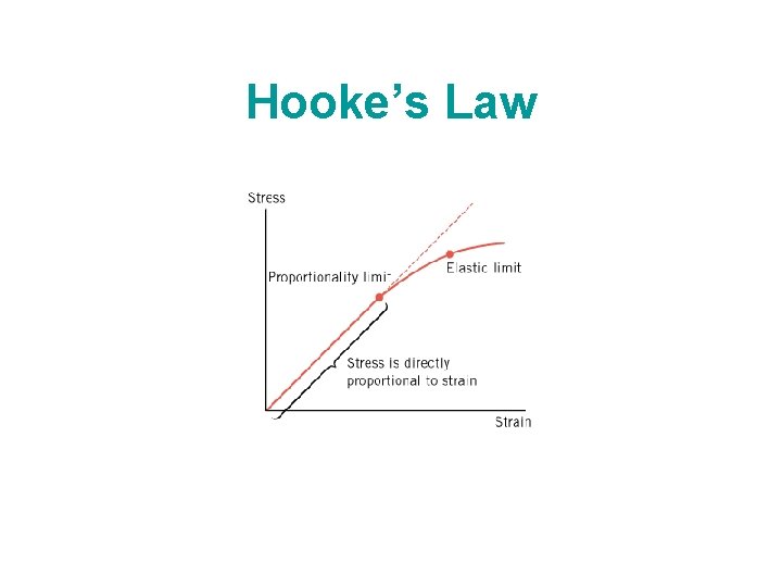 Hooke’s Law 