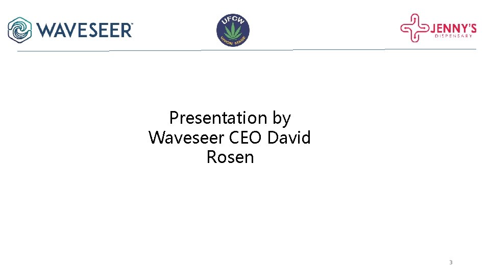 Presentation by Waveseer CEO David Rosen 3 Presentation by Waveseer CEO David Rosen 3