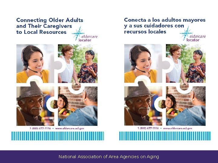 National Association of Area Agencies on Aging 