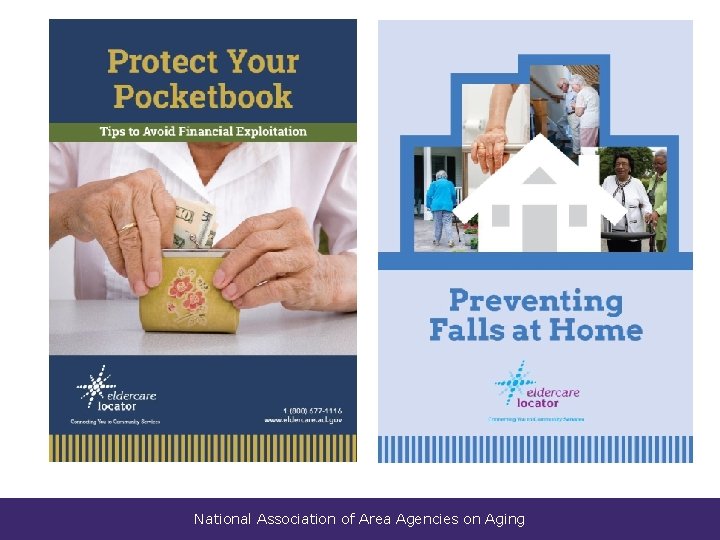 National Association of Area Agencies on Aging 