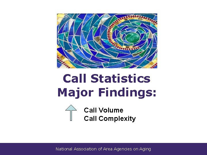 Call Statistics Major Findings: Call Volume Call Complexity National Association of Area Agencies on