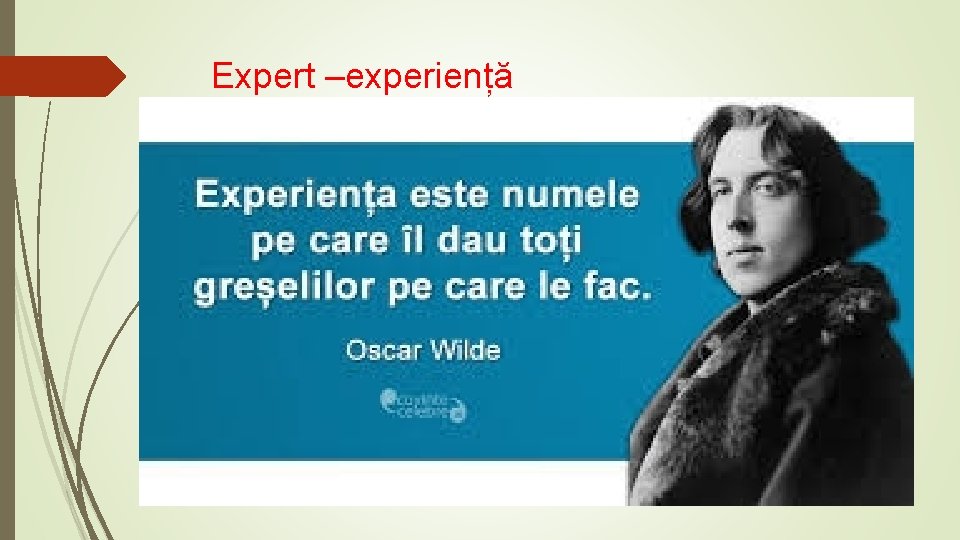 Expert –experiență 