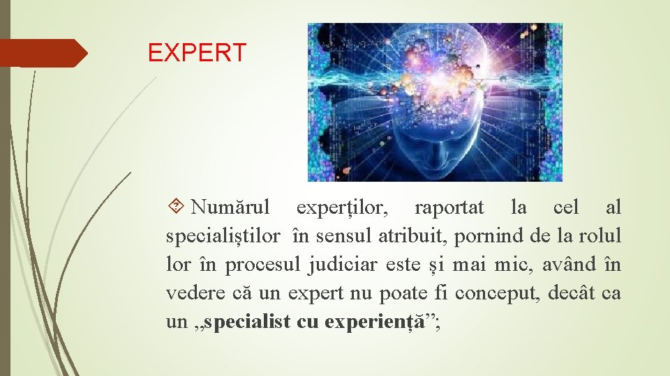 EXPERT Numărul experților, raportat la cel al specialiștilor în sensul atribuit, pornind de la