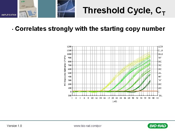 AMPLIFICATION • Threshold Cycle, CT Correlates strongly with the starting copy number Version 1.