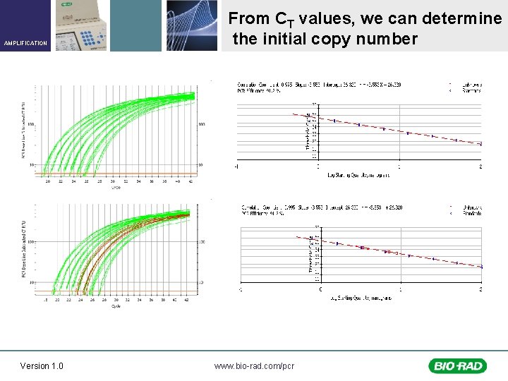 AMPLIFICATION Version 1. 0 From CT values, we can determine the initial copy number