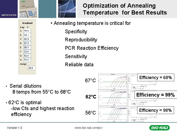 Optimization of Annealing Temperature for Best Results AMPLIFICATION • Annealing temperature is critical for