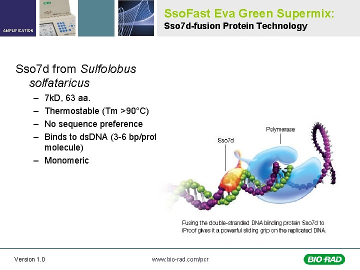 Sso. Fast Eva Green Supermix: AMPLIFICATION Sso 7 d-fusion Protein Technology Sso 7 d