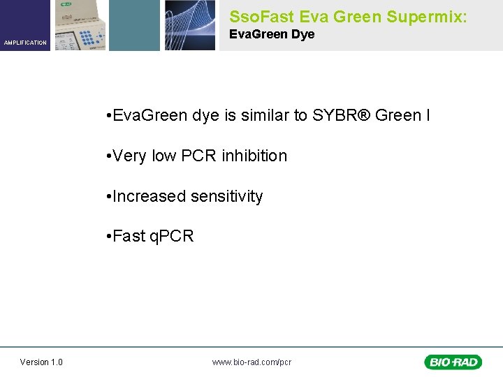 Sso. Fast Eva Green Supermix: Eva. Green Dye AMPLIFICATION • Eva. Green dye is