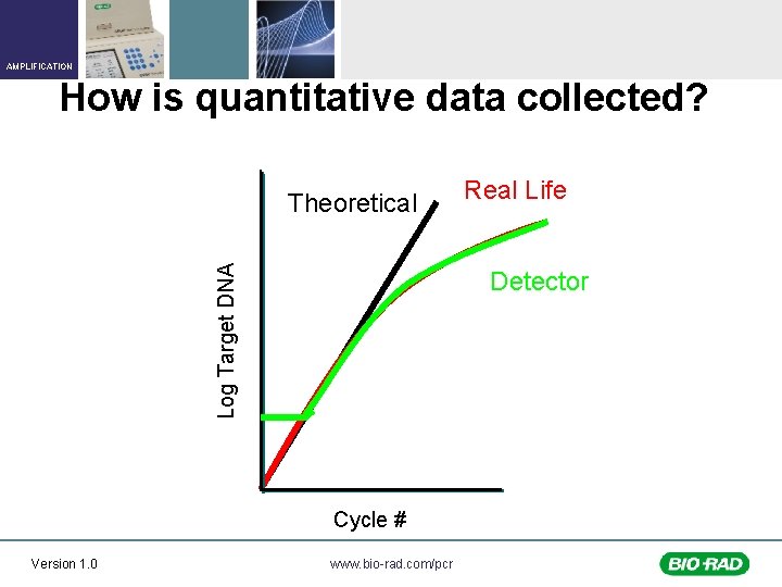AMPLIFICATION How is quantitative data collected? Log Target DNA Theoretical Detector Cycle # Version