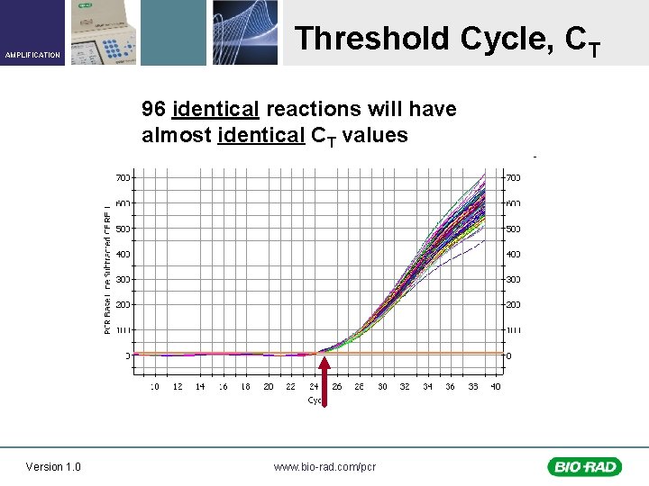 AMPLIFICATION Threshold Cycle, CT 96 identical reactions will have almost identical CT values Version