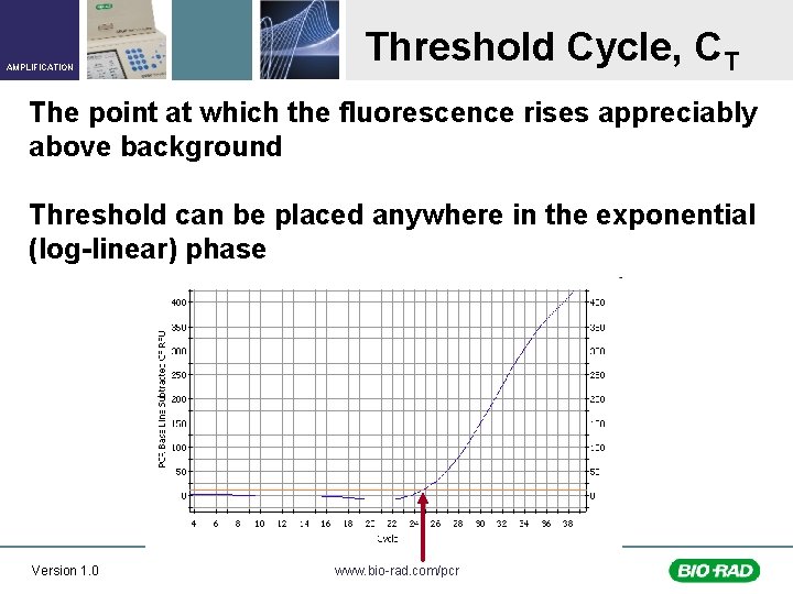 AMPLIFICATION Threshold Cycle, CT The point at which the fluorescence rises appreciably above background
