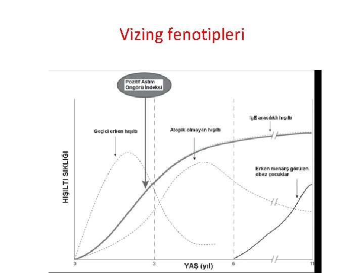 Vizing fenotipleri 