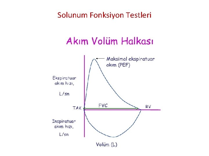 Solunum Fonksiyon Testleri 