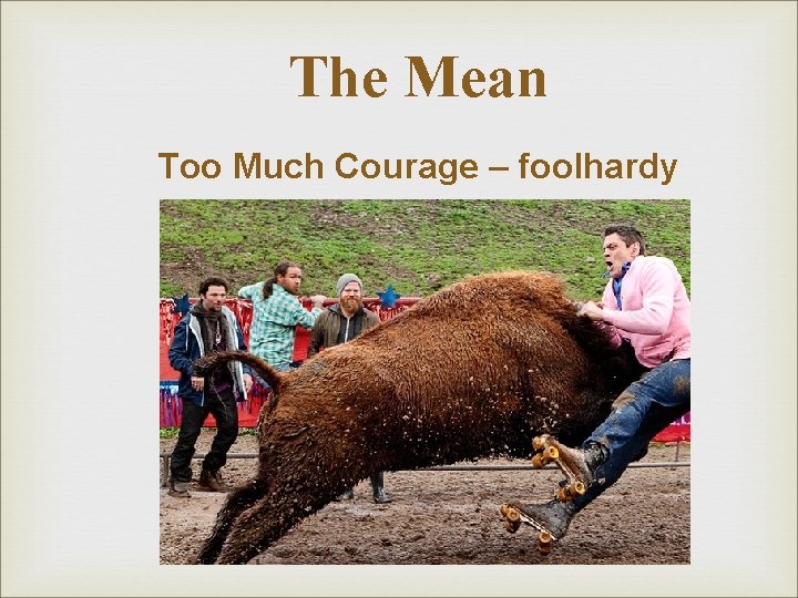 The Mean Too Much Courage – foolhardy The Mean Too Much Courage – foolhardy