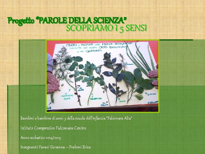 Progetto “PAROLE DELLA SCIENZA” SCOPRIAMO I 5 SENSI Bambini e bambine di anni 3