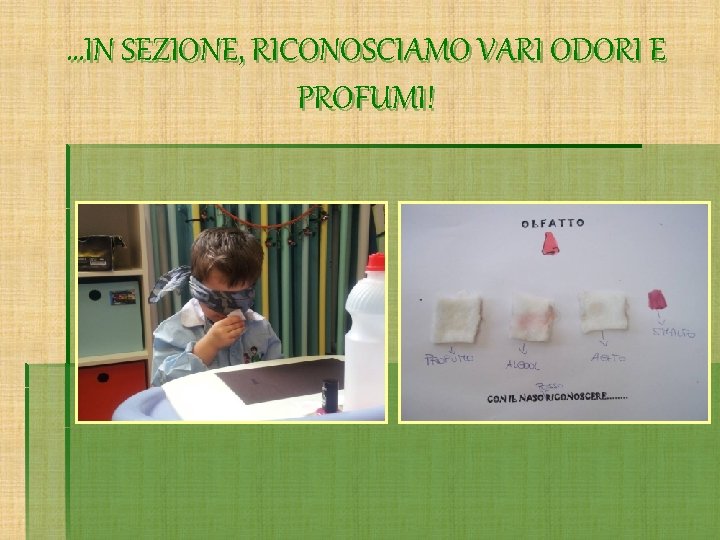 …IN SEZIONE, RICONOSCIAMO VARI ODORI E PROFUMI! 