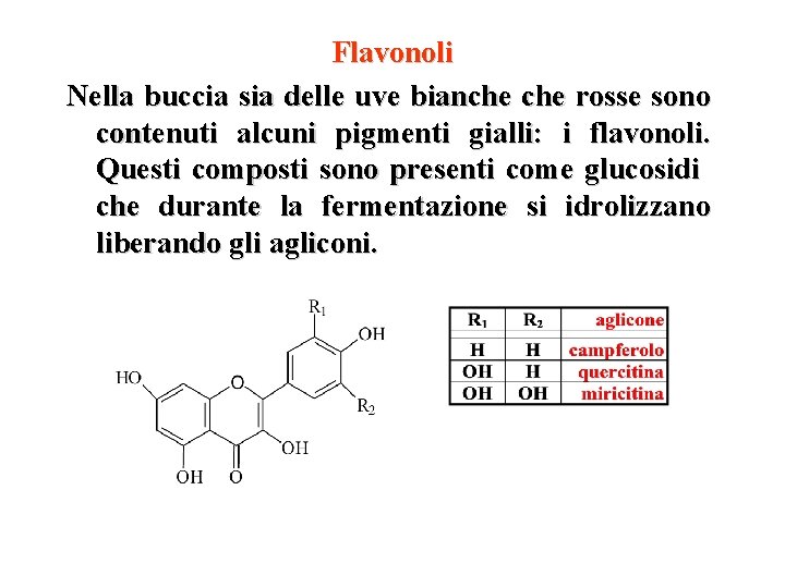 Flavonoli Nella buccia sia delle uve bianche rosse sono contenuti alcuni pigmenti gialli: i Flavonoli Nella buccia sia delle uve bianche rosse sono contenuti alcuni pigmenti gialli: i