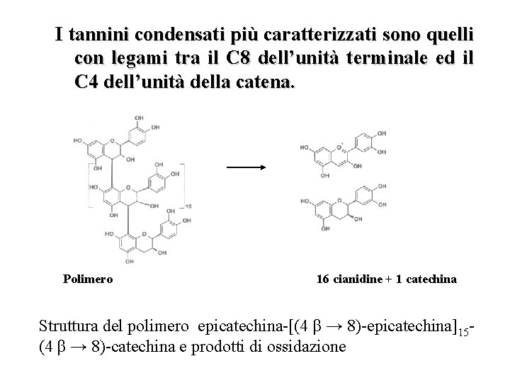 I tannini condensati più caratterizzati sono quelli con legami tra il C 8 dell’unità I tannini condensati più caratterizzati sono quelli con legami tra il C 8 dell’unità