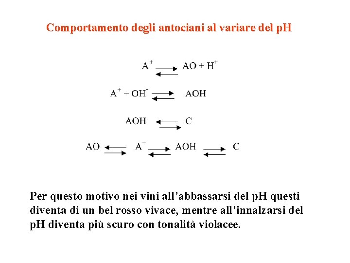 Comportamento degli antociani al variare del p. H Per questo motivo nei vini all’abbassarsi Comportamento degli antociani al variare del p. H Per questo motivo nei vini all’abbassarsi