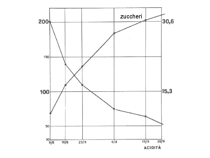 zuccheri zuccheri