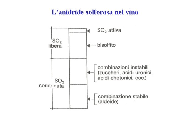 L’anidride solforosa nel vino L’anidride solforosa nel vino