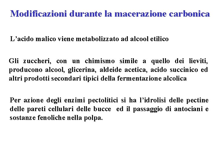 Modificazioni durante la macerazione carbonica L’acido malico viene metabolizzato ad alcool etilico Gli zuccheri, Modificazioni durante la macerazione carbonica L’acido malico viene metabolizzato ad alcool etilico Gli zuccheri,