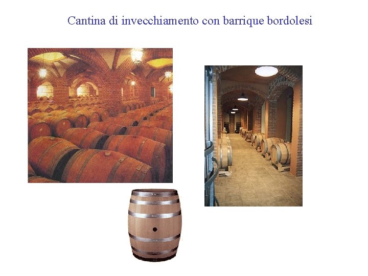 Cantina di invecchiamento con barrique bordolesi Cantina di invecchiamento con barrique bordolesi