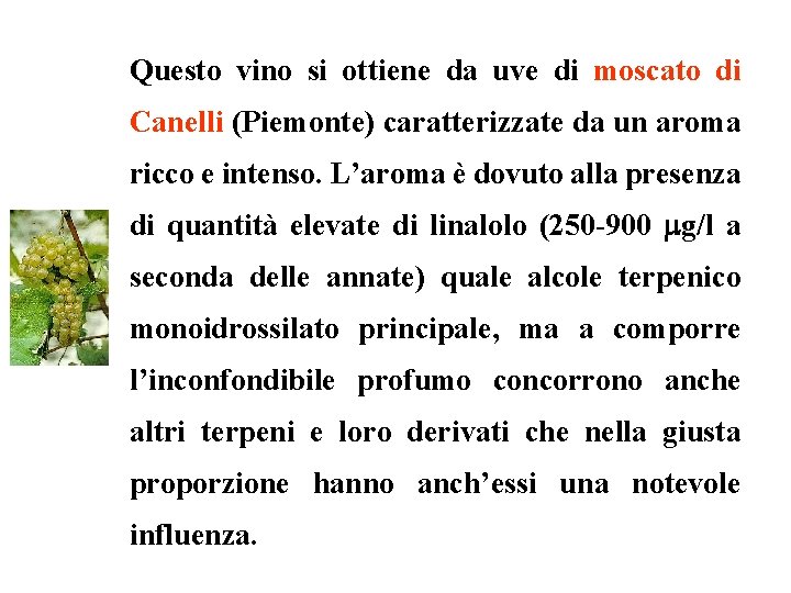 Questo vino si ottiene da uve di moscato di Canelli (Piemonte) caratterizzate da un Questo vino si ottiene da uve di moscato di Canelli (Piemonte) caratterizzate da un