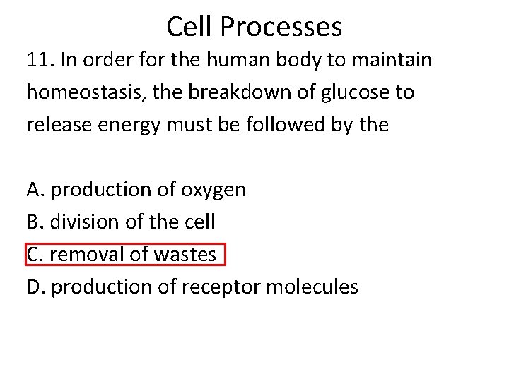 Cell Processes 11. In order for the human body to maintain homeostasis, the breakdown Cell Processes 11. In order for the human body to maintain homeostasis, the breakdown
