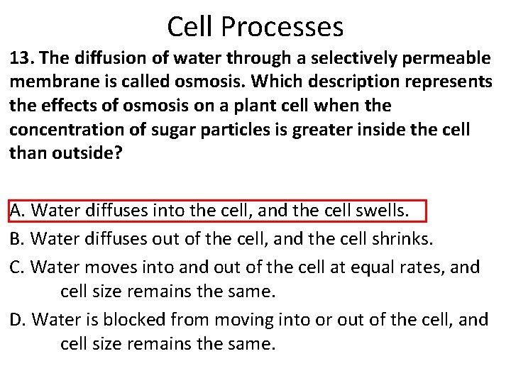 Cell Processes 13. The diffusion of water through a selectively permeable membrane is called Cell Processes 13. The diffusion of water through a selectively permeable membrane is called