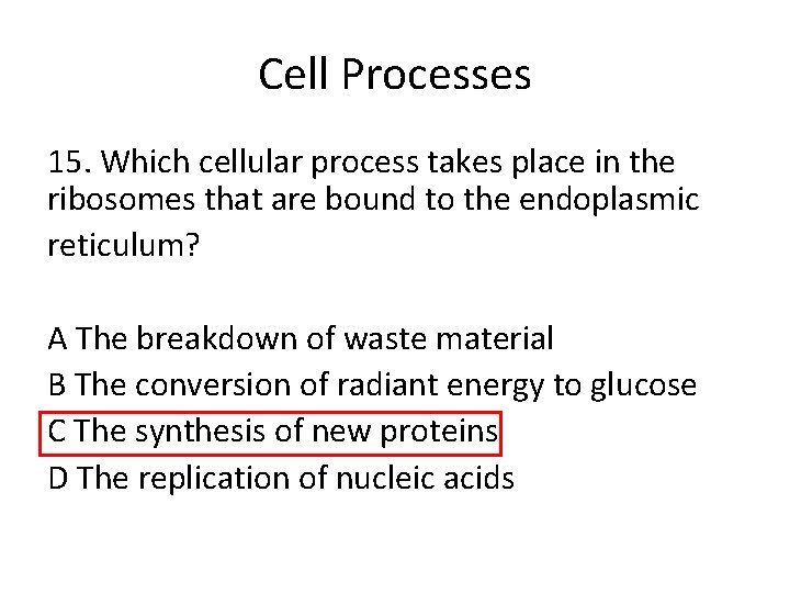 Cell Processes 15. Which cellular process takes place in the ribosomes that are bound Cell Processes 15. Which cellular process takes place in the ribosomes that are bound