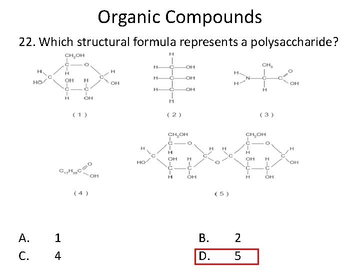 Organic Compounds 22. Which structural formula represents a polysaccharide? A. C. 1 4 B. Organic Compounds 22. Which structural formula represents a polysaccharide? A. C. 1 4 B.