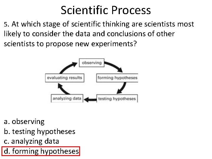 Scientific Process 5. At which stage of scientific thinking are scientists most likely to Scientific Process 5. At which stage of scientific thinking are scientists most likely to