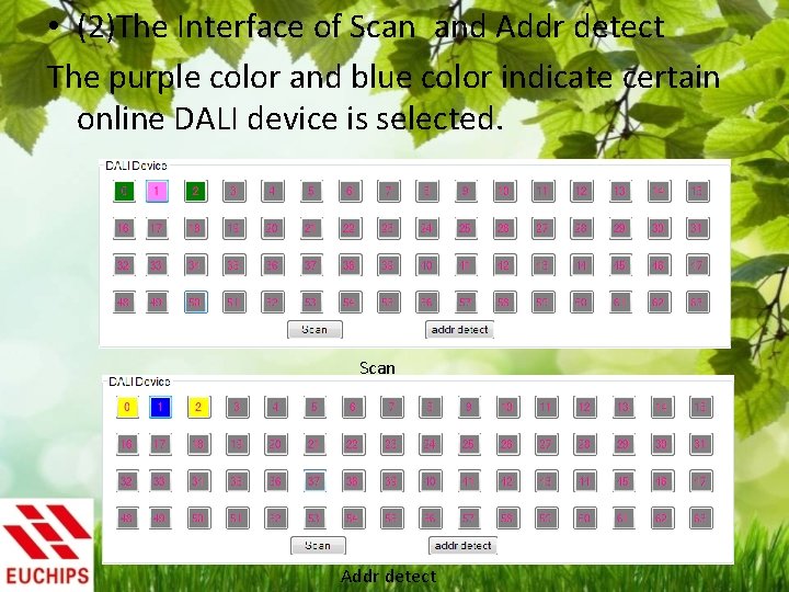  • (2)The Interface of Scan and Addr detect The purple color and blue